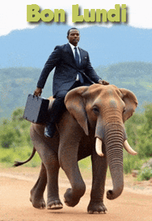 Gif Bon lundi éléphant